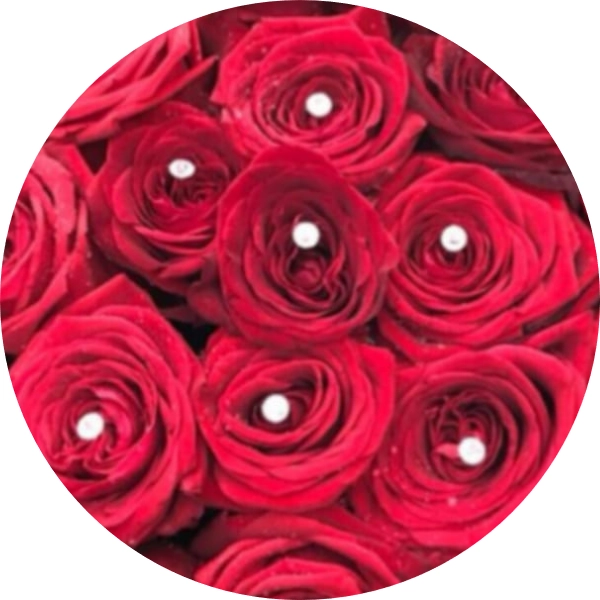 7 rose rosse