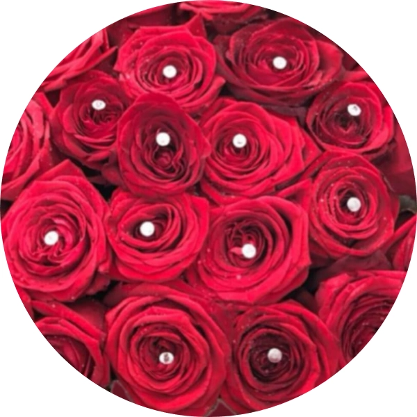 12 rose rosse 