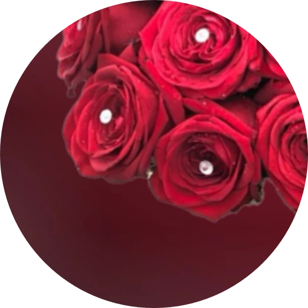 3 rose rosse