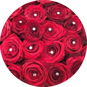 12 rose rosse  con Swarovski